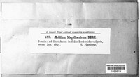 Image Associated With the Occurence